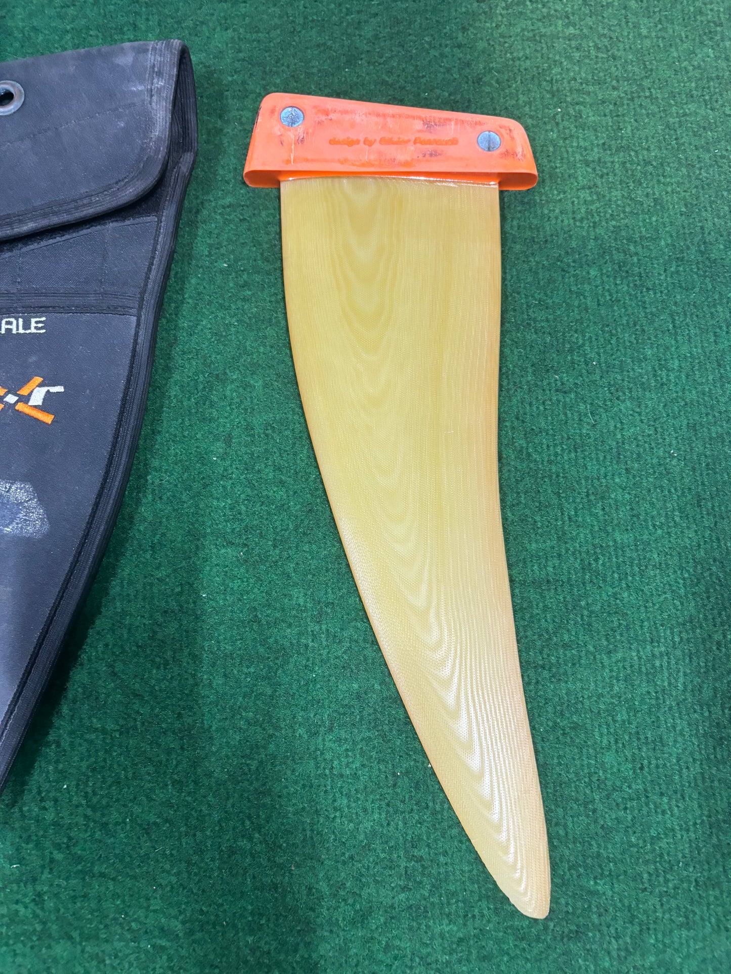 MXR Whale 36cm Tuttlebox