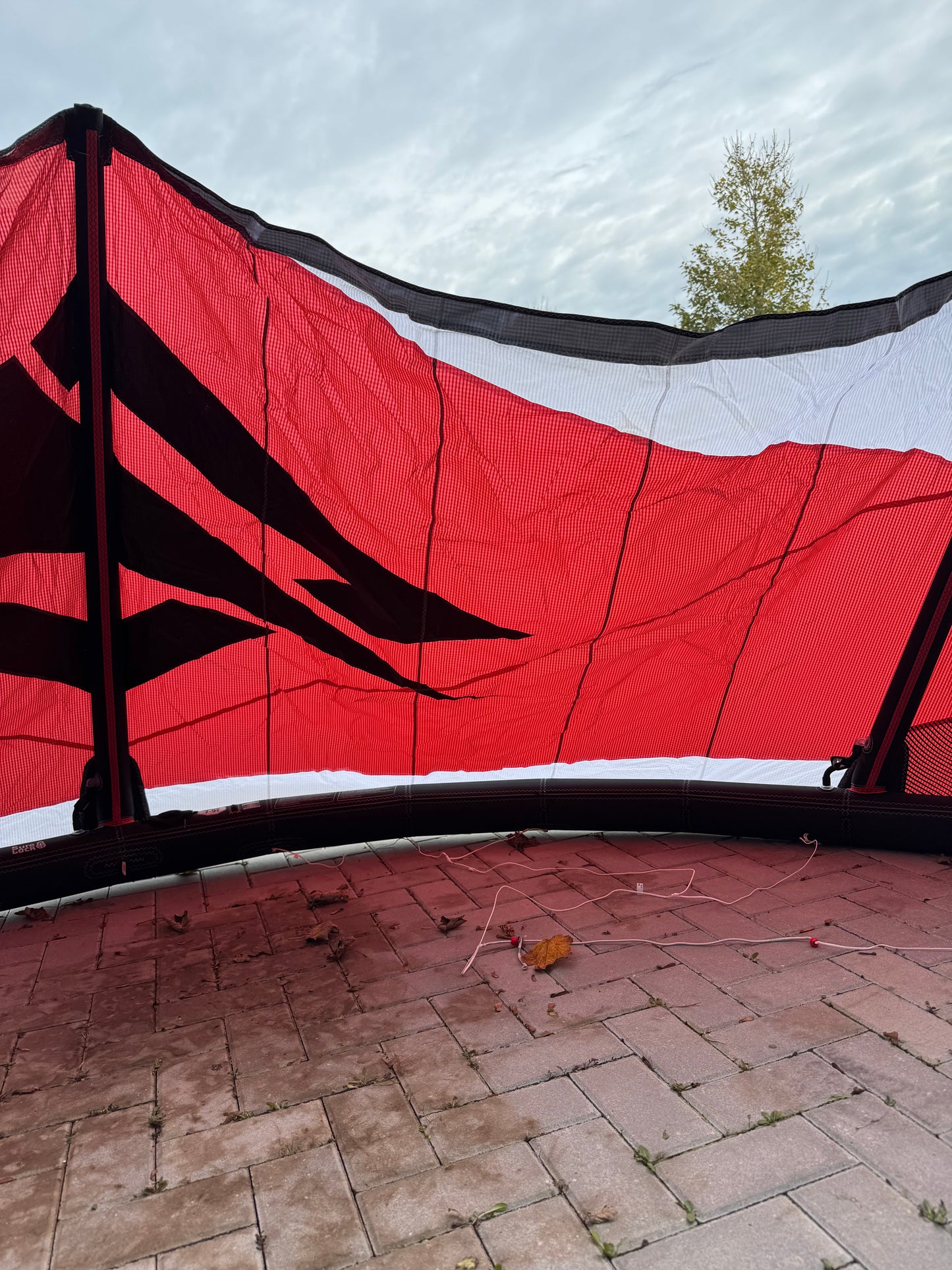 Naish Pivot 2025 8m + Naish Motion 138x41,5 + Naish Bar