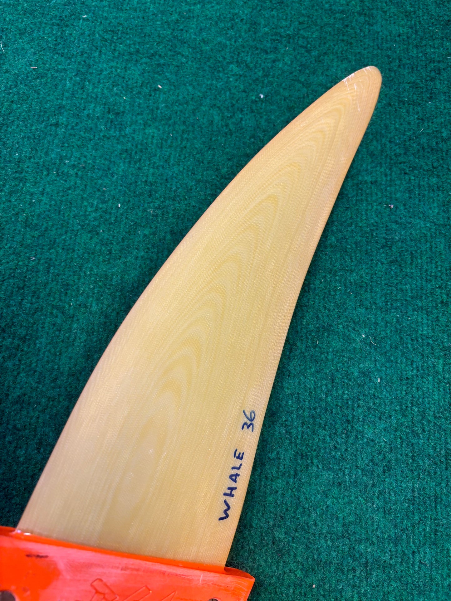 MXR Whale 36cm Tuttlebox