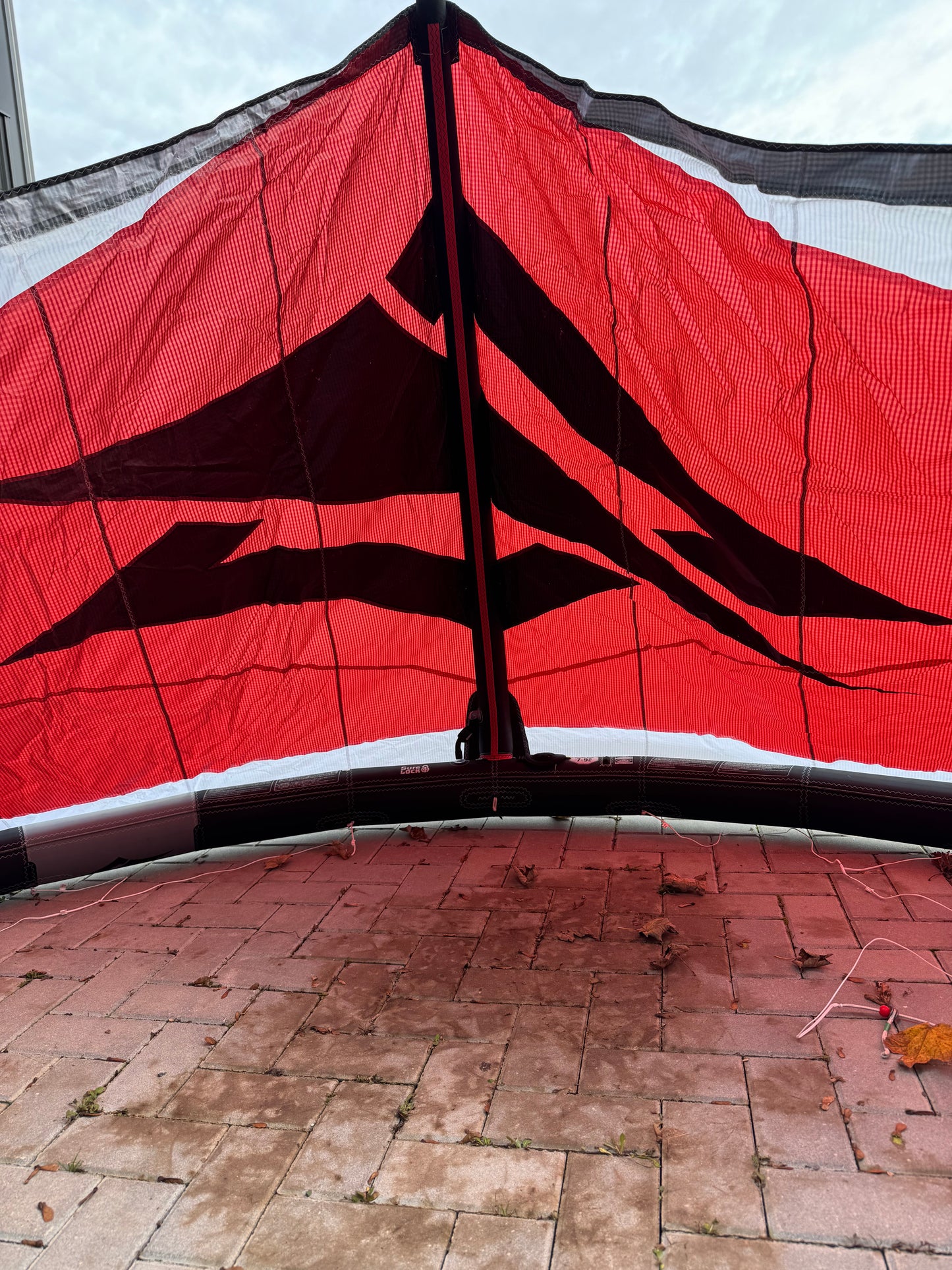 Naish Pivot 2025 8m + Naish Motion 138x41,5 + Naish Bar